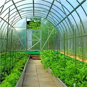 Cheaptha Teasa Chili